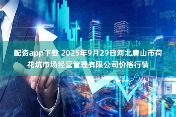 配资app下载 2025年9月29日河北唐山市荷花坑市场经营管理有限公司价格行情